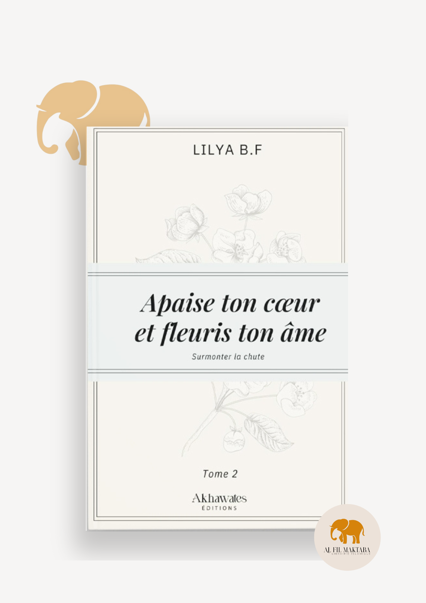 Apaise ton cœur et fleuris ton âme Tome 2 : Surmonter la rechute - Lilya B.F